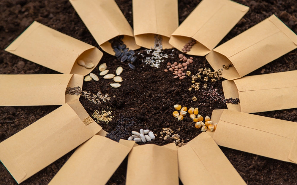 Utforska mångfald i fröer för trädgårdens alla säsonger